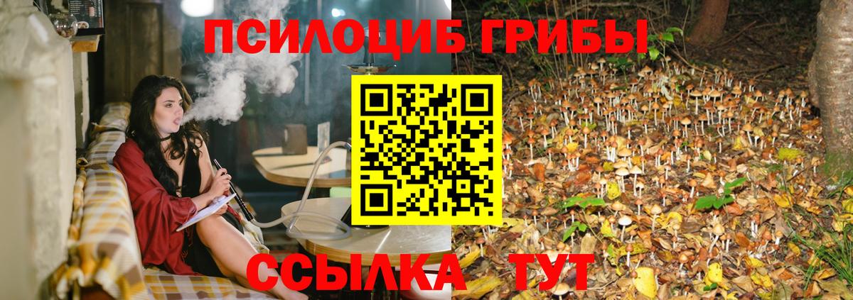 Псилоцибиновые грибы Psilocybine cubensis  Псилоцибиновые грибы Psilocybine cubensis  Вход с VPN  Спасск-Дальний 