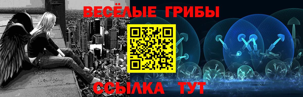 Псилоцибиновые грибы GOLDEN TEACHER Спасск-Дальний